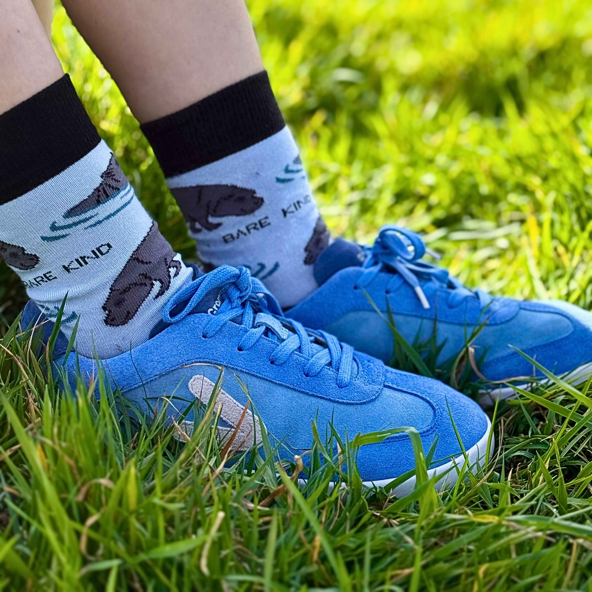Close up of blue Suede trainer in grass